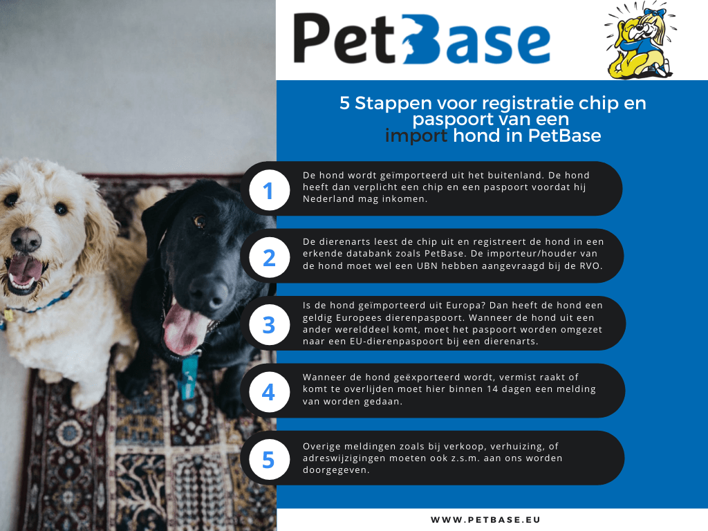 calcium kubiek Mathis Stroomschema registratie chip en paspoort van een import hond - Voorkom  vermissing en registreer simpel en veilig je huisdier bij PetBase - Voor  hond kat en andere dieren met een chip