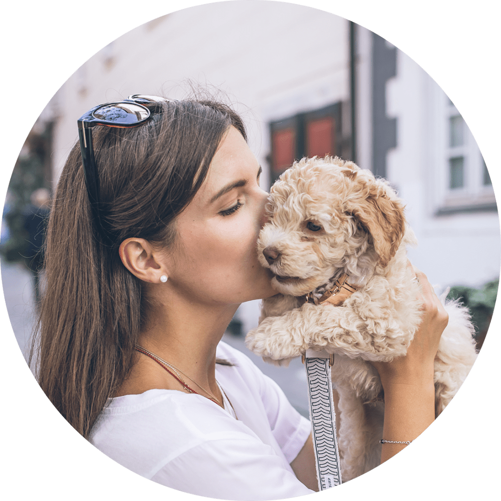 registreer hond