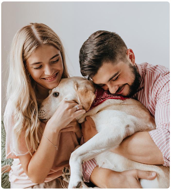 honden registratie