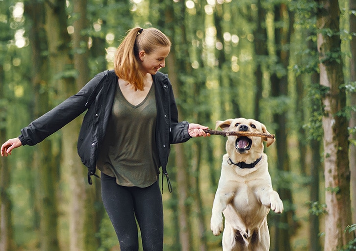 Losloopgebieden voor Honden