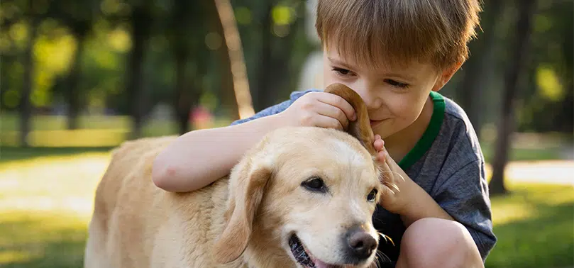 kinderen en huisdieren