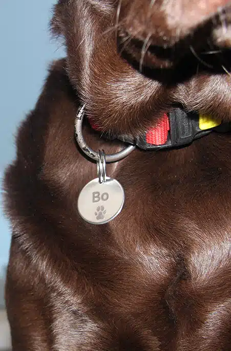 Penning voor je hond of kat bestellen kan via PetBase