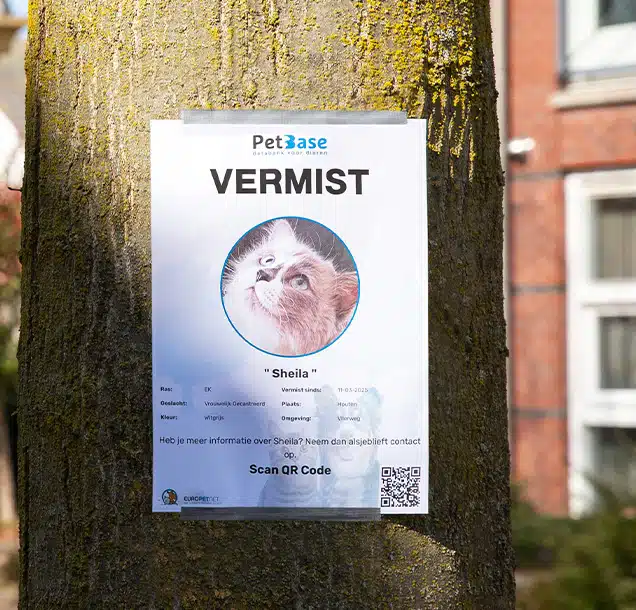 Huisdier vermist, PetBase databank voor dieren
