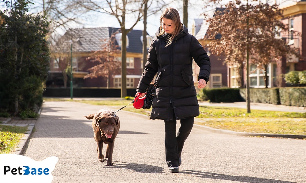 Vrouw wandelt met haar hond in de wijk, onderdeel van dagelijkse verzorging