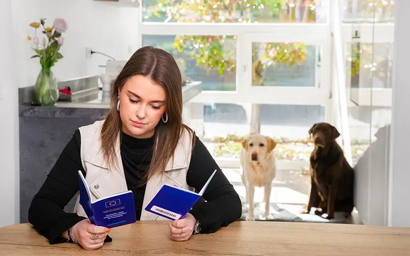Vrouw leest dierenpaspoort met hond en kat die door het raam naar binnen kijken
