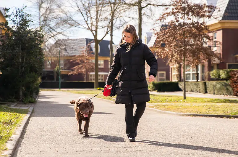 Vrouw loopt met haar hond door een rustige woonwijk, dagelijks hondenonderhoud