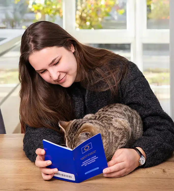 Kat ontspannen in huis na registratie met microchip bij PetBase