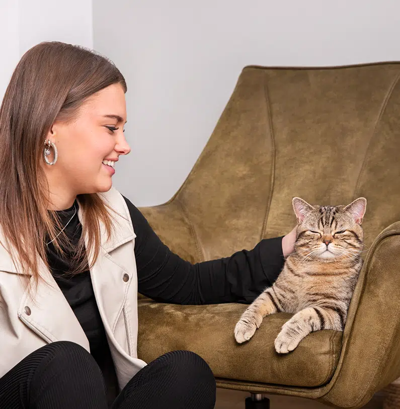 Vrouw aait ontspannen haar kat die op een fauteuil ligt
