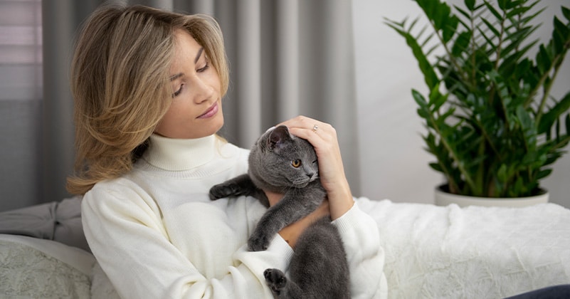 Vrouw knuffelt een grijze kat op de bank – ontspanning met huisdier voor mentale gezondheid