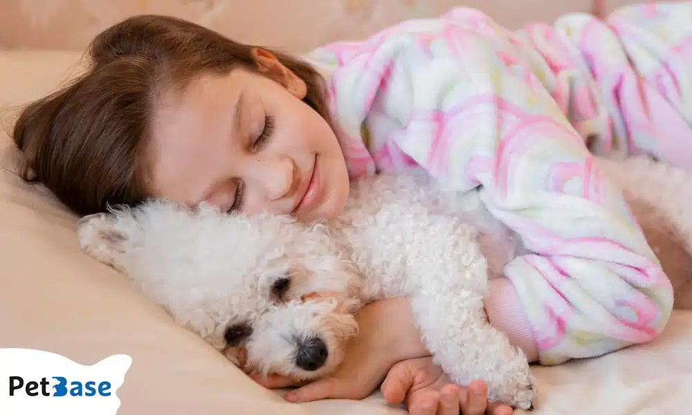 Kind slaapt rustig met hond samen in bed