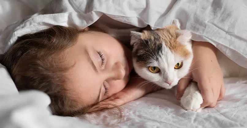 Vrouw ligt in bed met kat onder de dekens