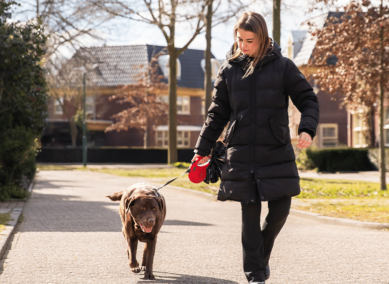 Vrouw wandelt met bruine hond aan de lijn die onderweg enthousiast snuffelt.