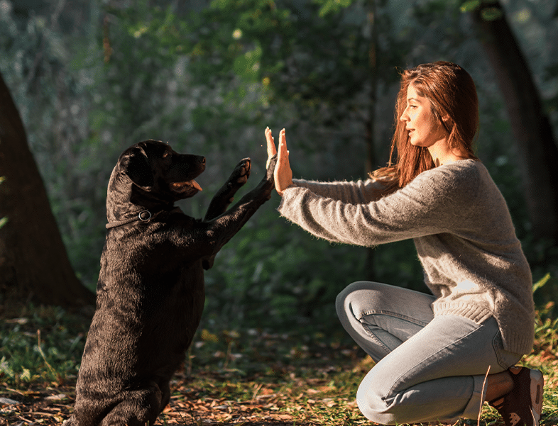 Hond en vrouw buiten in interactie, hond gebruikt neus om nieuwe geuren te ontdekken.