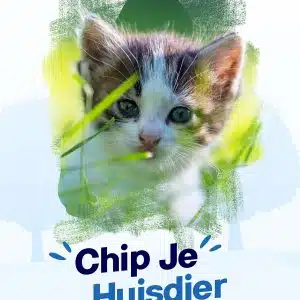 PetBase informatie posters