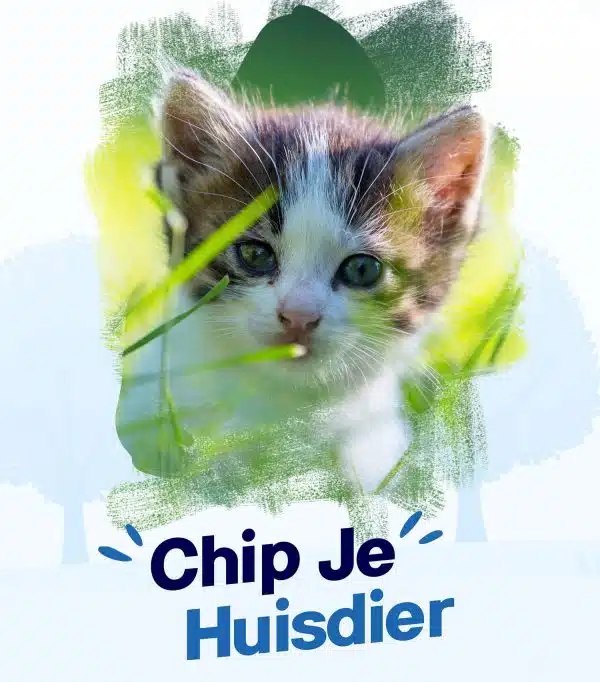 PetBase informatie posters