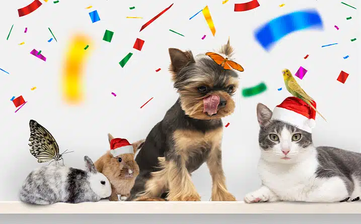 Wereld dierendag op 4 oktober