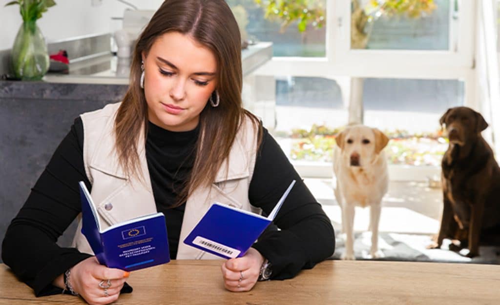 Huisdier eigenaar van honden controleert het EU Dierenpaspoort